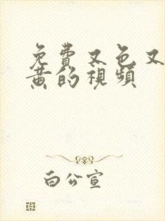 免费又色又爽又黄的视频