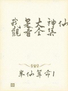 我是大神仙免费观看全集