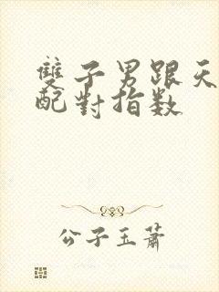 双子男跟天秤女配对指数