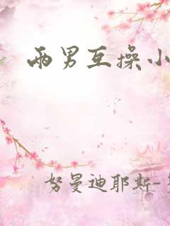两男互操小说