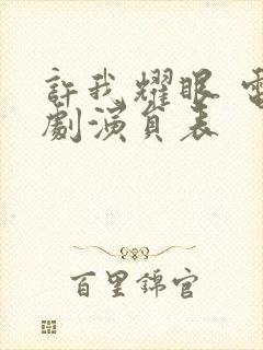 许我耀眼 电视剧演员表