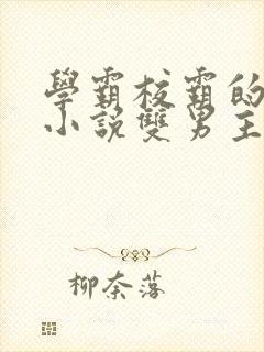 学霸校霸的校园小说双男主