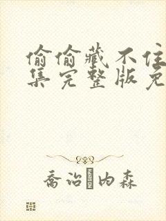 偷偷藏不住40集完整版免费观看