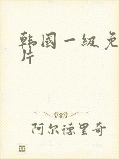 韩国一级免费一片