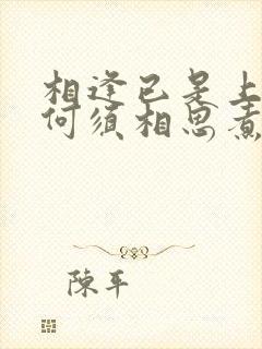 相逢已是上上签何须相思煮余年的意思