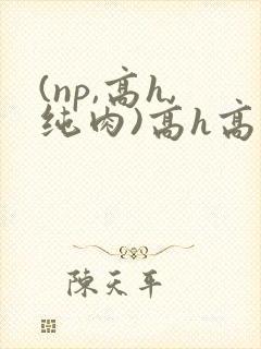 (np,高h,纯肉)高h高辣视频