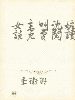 女主叫沈婉的小说免费阅读