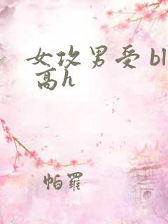 女攻男受 bl 高h