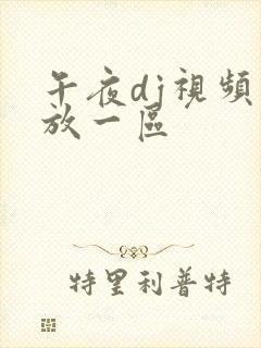 午夜dj视频播放一区