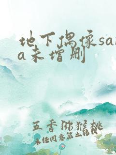 地下偶像sana未增删