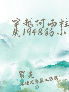 穿越何雨柱13岁1948的小说