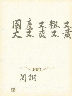 国产又粗又猛又大又爽又黄