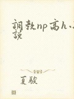 调教np高h小说