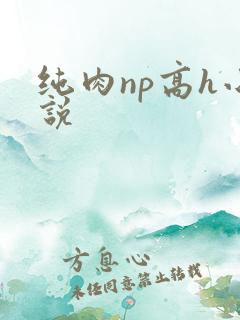 纯肉np高h小说