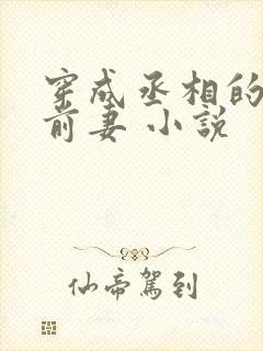 穿成丞相的炮灰前妻 小说