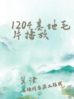1204基地毛片播放