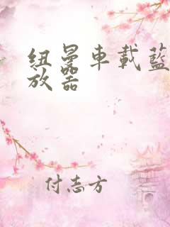 纽曼车载蓝牙播放器