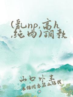 (乱np,高h,纯肉)调教