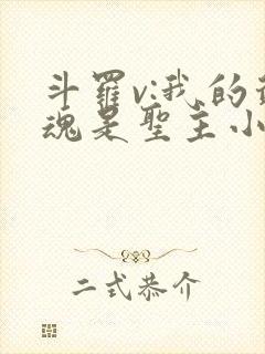 斗罗v:我的武魂是圣主小说