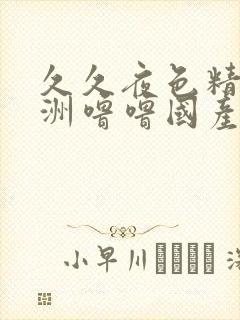 久久夜色精品亚洲噜噜国产