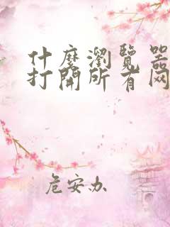 什么浏览器可以打开所有网页