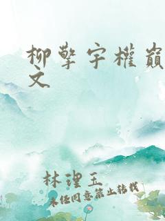 柳擎宇权巅峰全文