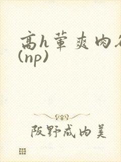 高h荤爽肉欲文(np)