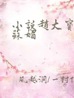 小说赵大宝赵勇苏媚