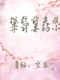 总裁前夫疯狂掠夺前妻的小说