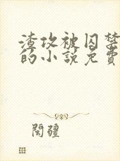 渣攻被囚禁反攻的小说免费阅读