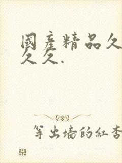 国产精品久久久久久.