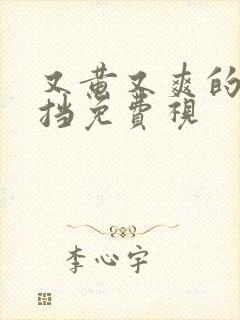 又黄又爽的无遮挡免费视