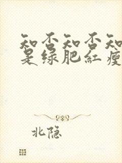 知否知否知否应是绿肥红瘦哪年拍的