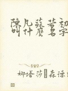 陈凡苏若初小说叫什么名字