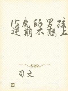 15岁的男孩叛逆期不想上学