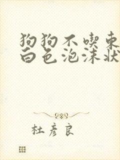 狗狗不吃东西吐白色泡沫状粘液