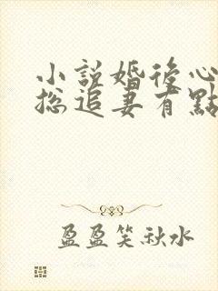 小说婚后心动凌总追妻有点甜全文阅读