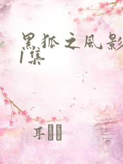 黑狐之风影第31集