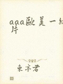 aaa欧美一级片
