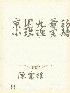 京圈九爷的重燃小玫瑰完结了吗