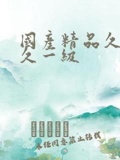 国产精品久久久久一级