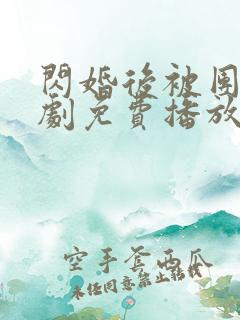 闪婚后被团宠短剧免费播放