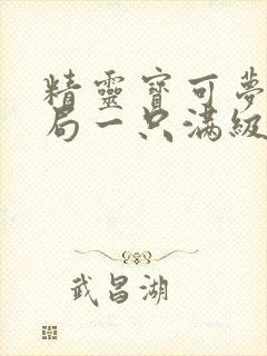 精灵宝可梦之开局一只满级精灵