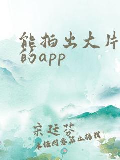能拍出大片质感的app