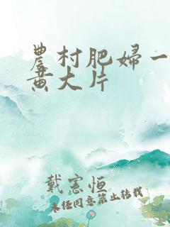 农村肥妇一级特黄大片