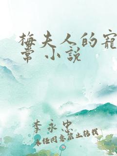 梅夫人的宠夫日常 小说