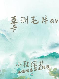 亚洲毛片av不卡