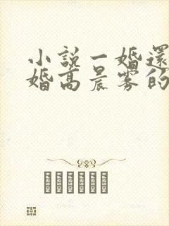 小说一婚还比一婚高晨雾的光