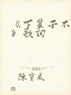 《下辈子不再来》歌词