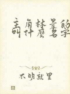 主角林晨的小说叫什么名字